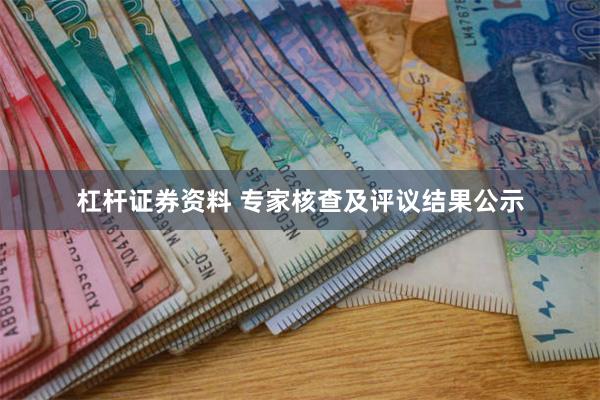 杠杆证券资料 专家核查及评议结果公示