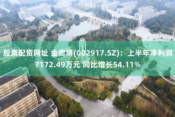 股票配资网址 金奥博(002917.SZ)：上半年净利润7172.49万元 同比增长54.11%