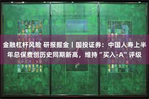 金融杠杆风险 研报掘金丨国投证券：中国人寿上半年总保费创历史同期新高，维持“买入-A”评级