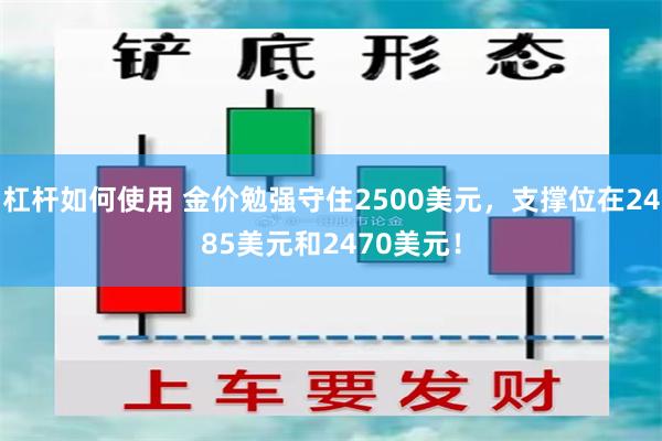 杠杆如何使用 金价勉强守住2500美元，支撑位在2485美元和2470美元！