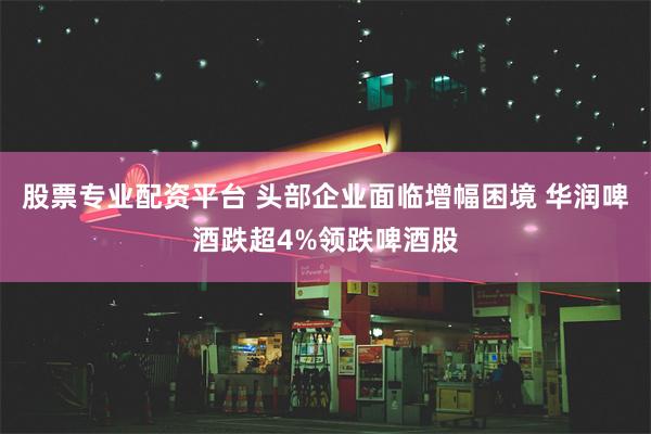 股票专业配资平台 头部企业面临增幅困境 华润啤酒跌超4%领跌啤酒股